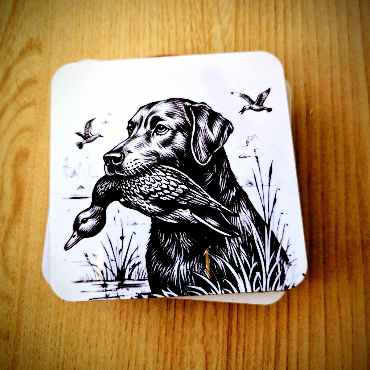 Labrador retriever with duck hunting coaster with cork back, UV printed by Rise and Shine Gifts in Dothan, Alabama SHINE-CS-001